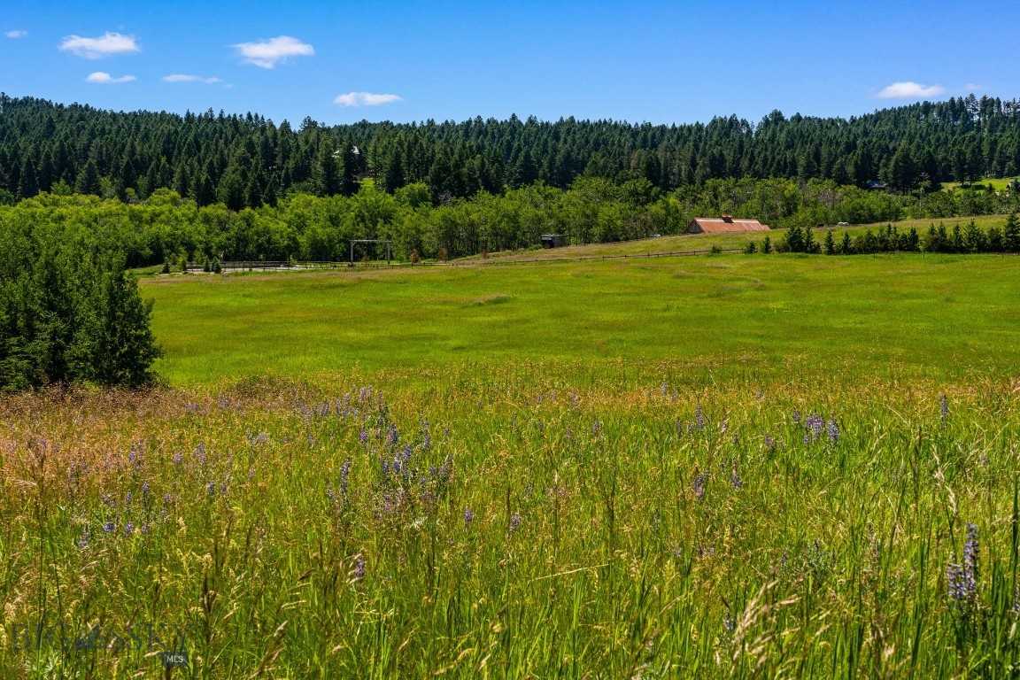 Tbd Jackson Creek Road Parcel B Property Photo 21