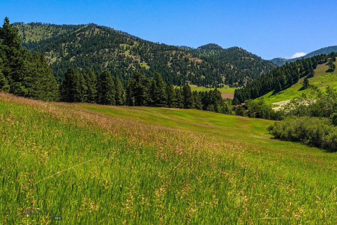 Tbd Jackson Creek Road Parcel B Property Photo 22