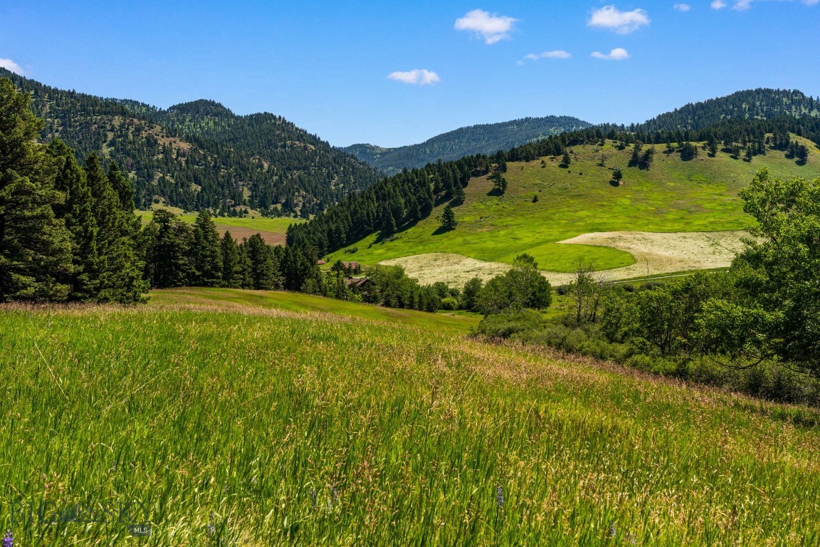 Tbd Jackson Creek Road Parcel B Property Photo 23