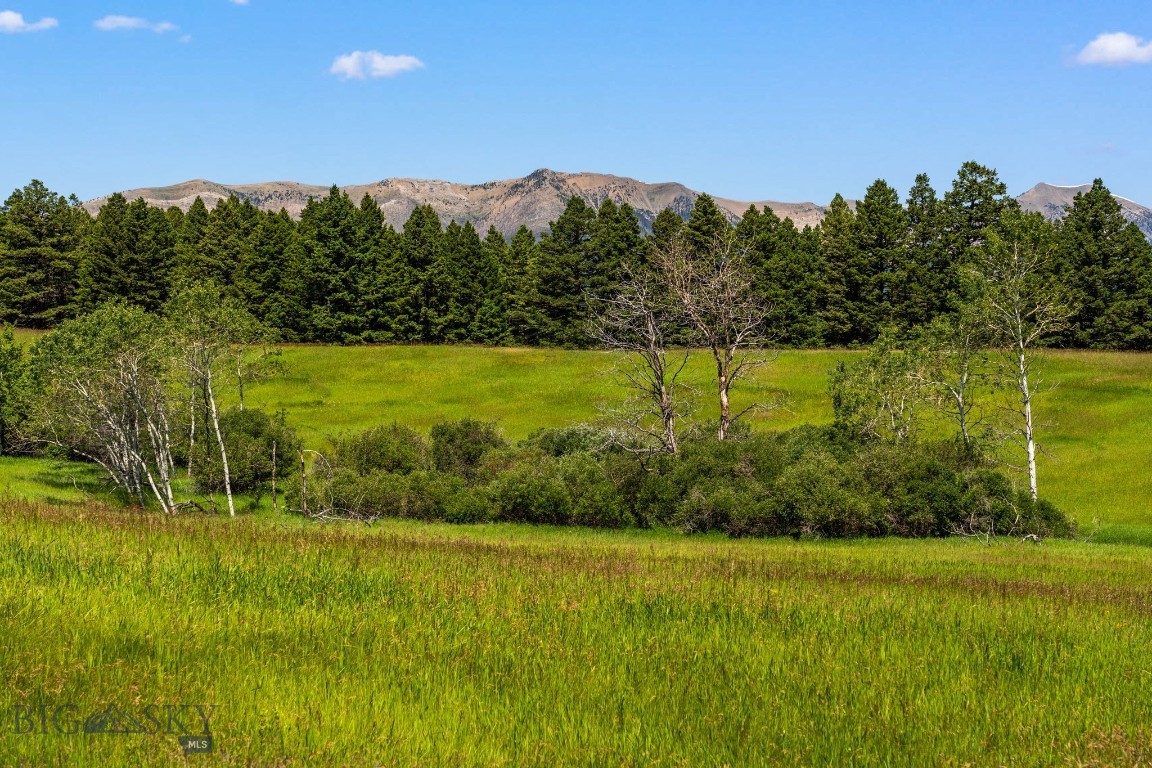 Tbd Jackson Creek Road Parcel B Property Photo 27