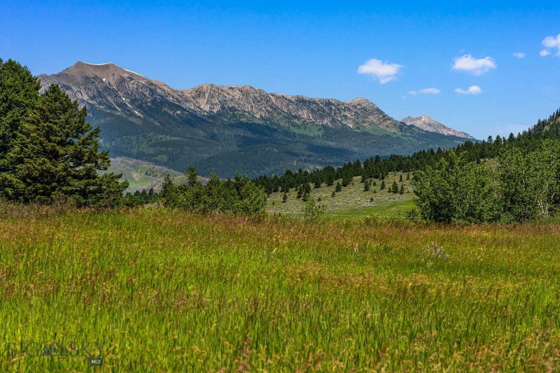 Tbd Jackson Creek Road Parcel B Property Photo 30