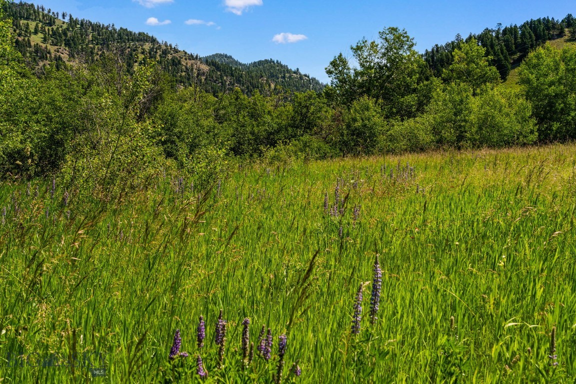 Tbd Jackson Creek Road Parcel B Property Photo 35