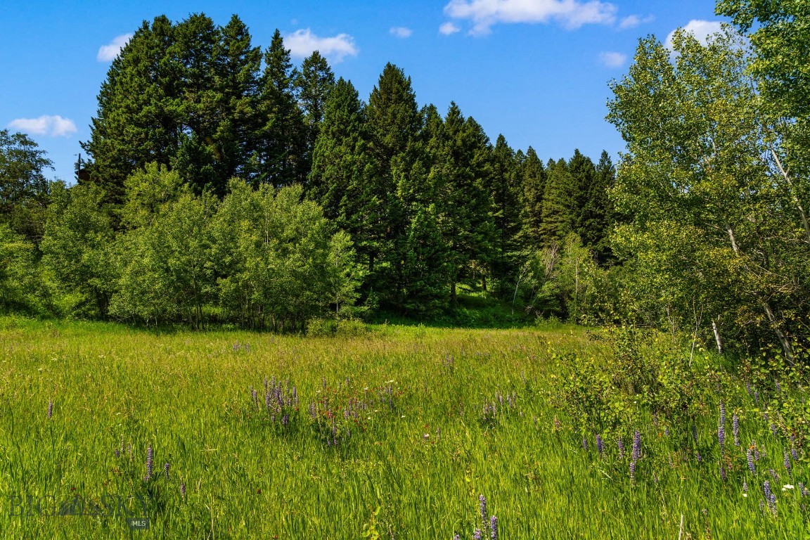 Tbd Jackson Creek Road Parcel B Property Photo 36