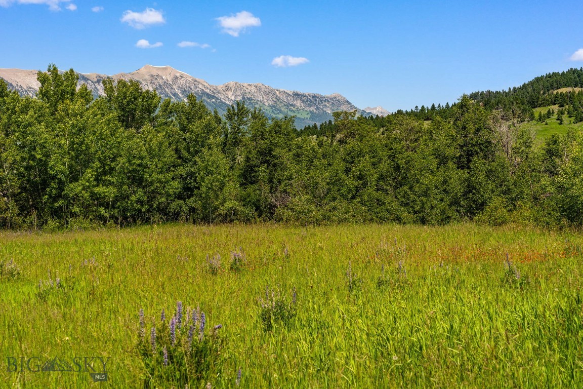 Tbd Jackson Creek Road Parcel B Property Photo 37