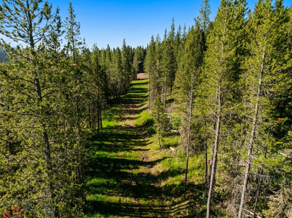 125 Bridger Meadow Trail A Property Photo 51