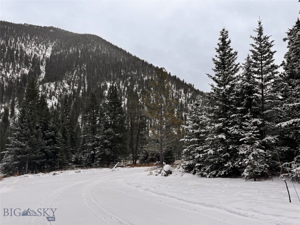 37329 Gallatin Road Property Photo 4