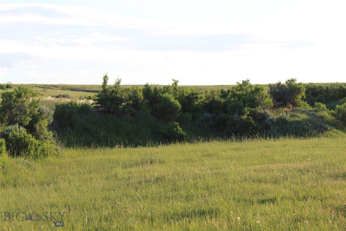 7916 Nitro Road Property Photo 4
