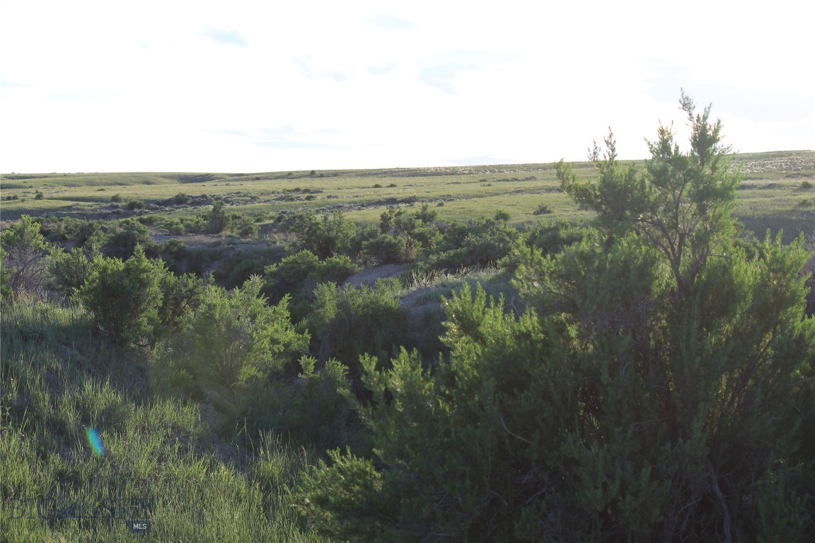 7916 Nitro Road Property Photo 12