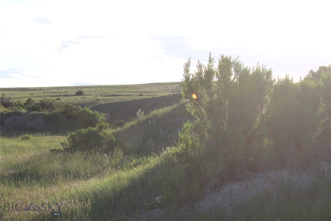 7916 Nitro Road Property Photo 19
