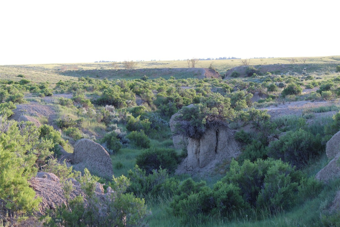 7916 Nitro Road Property Photo 23