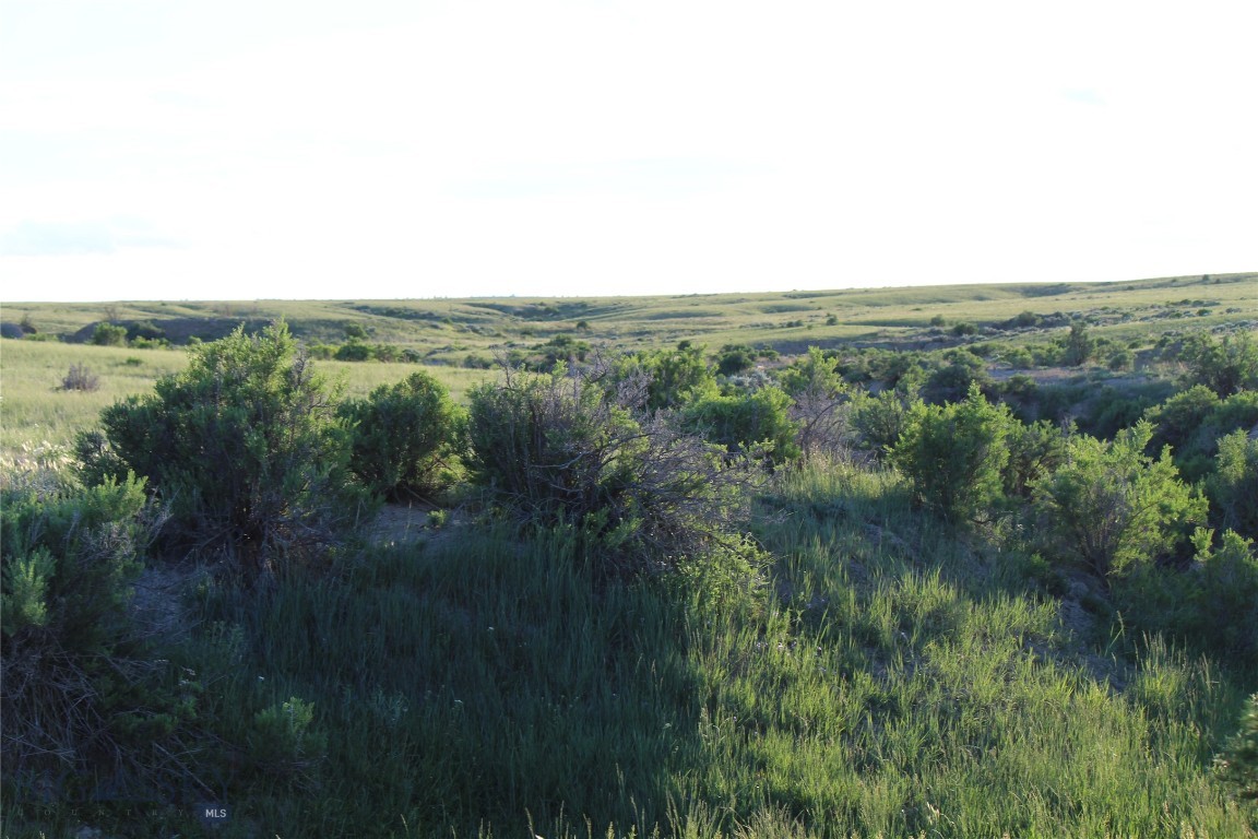 7916 Nitro Road Property Photo 24