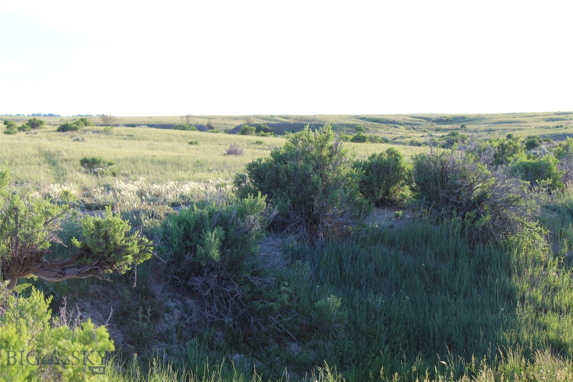 7916 Nitro Road Property Photo 26
