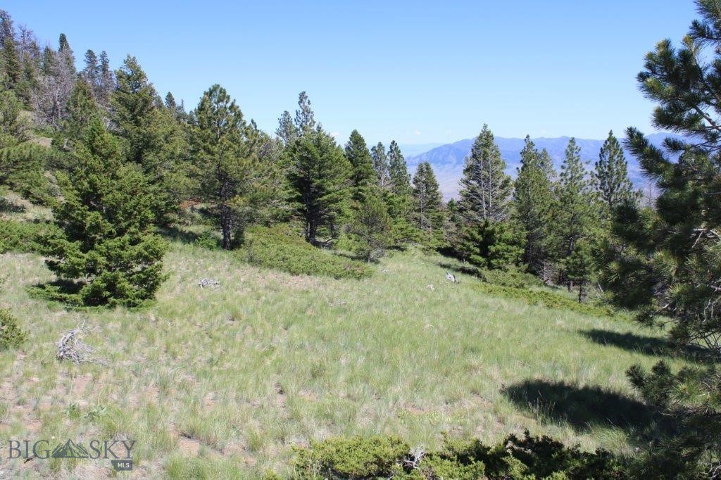 398393 Property Photo 3