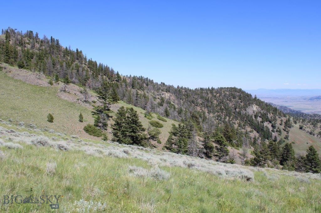 398393 Property Photo 10