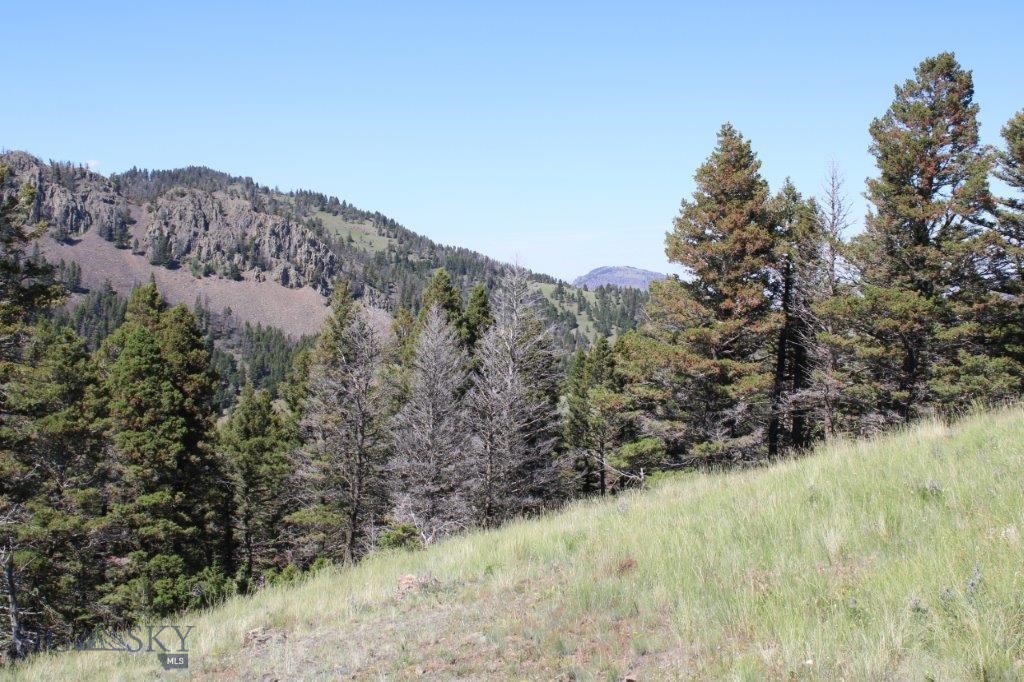 398393 Property Photo 14