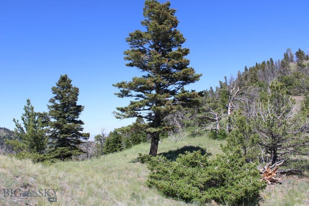 398393 Property Photo 18