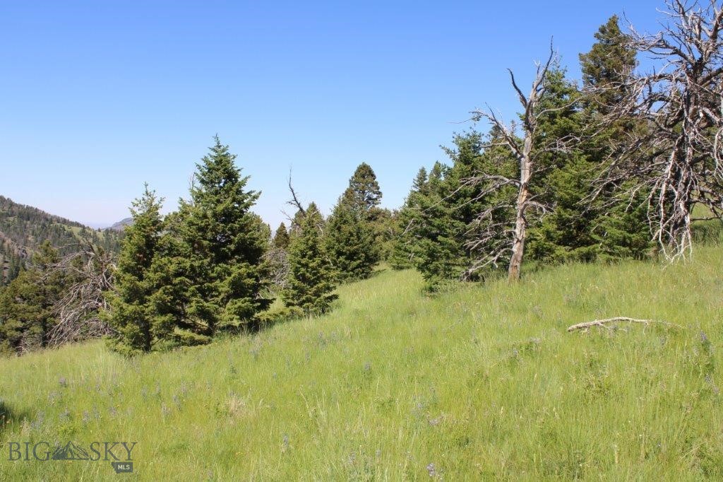 398393 Property Photo 22
