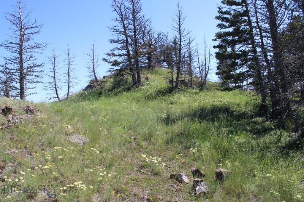 398393 Property Photo 26