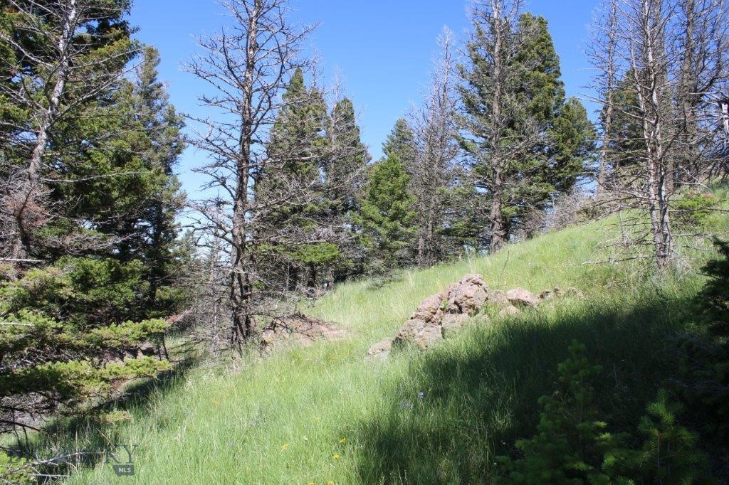 398393 Property Photo 29