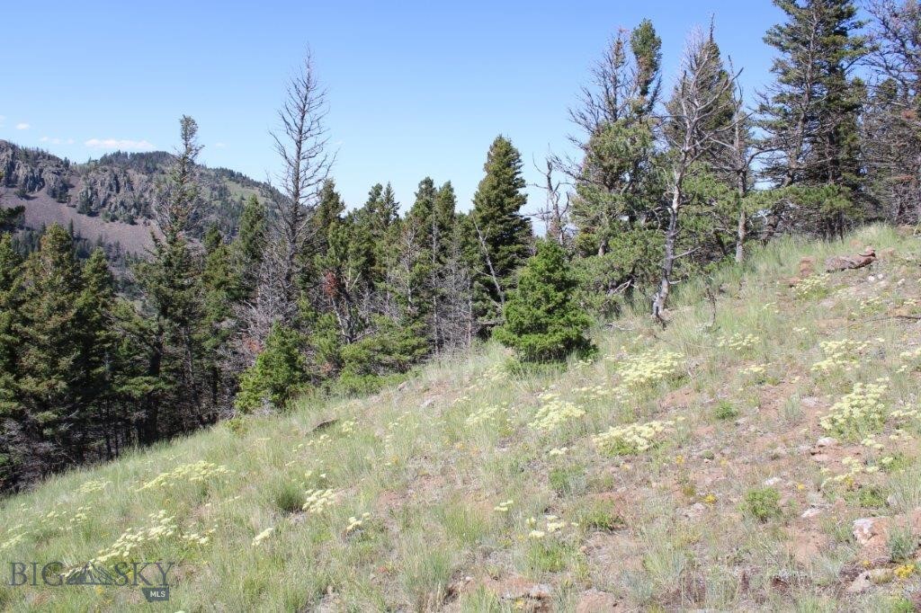 398393 Property Photo 31