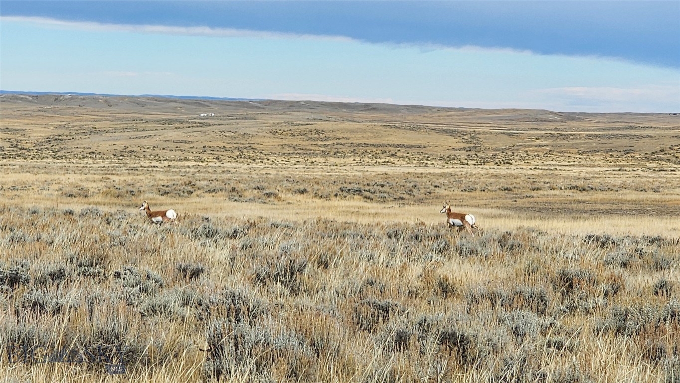 Tbd Tbd Highway 20-26 Casper, Wy Property Photo 11