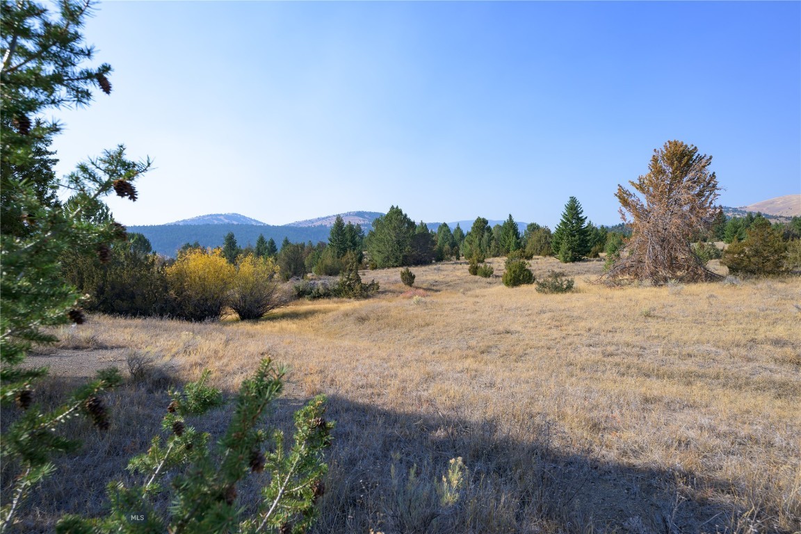 Nhn Trails End Drive Property Photo 4
