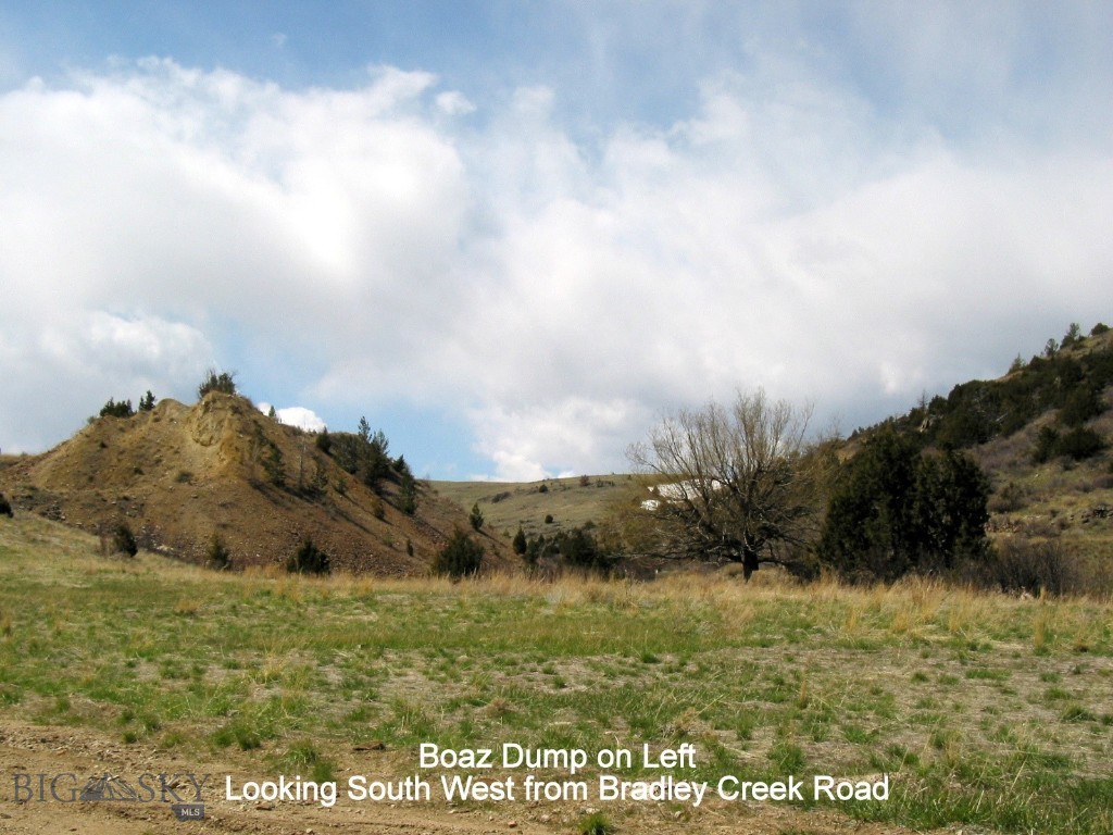 Tbd Bradley Creek Rd Property Photo 4
