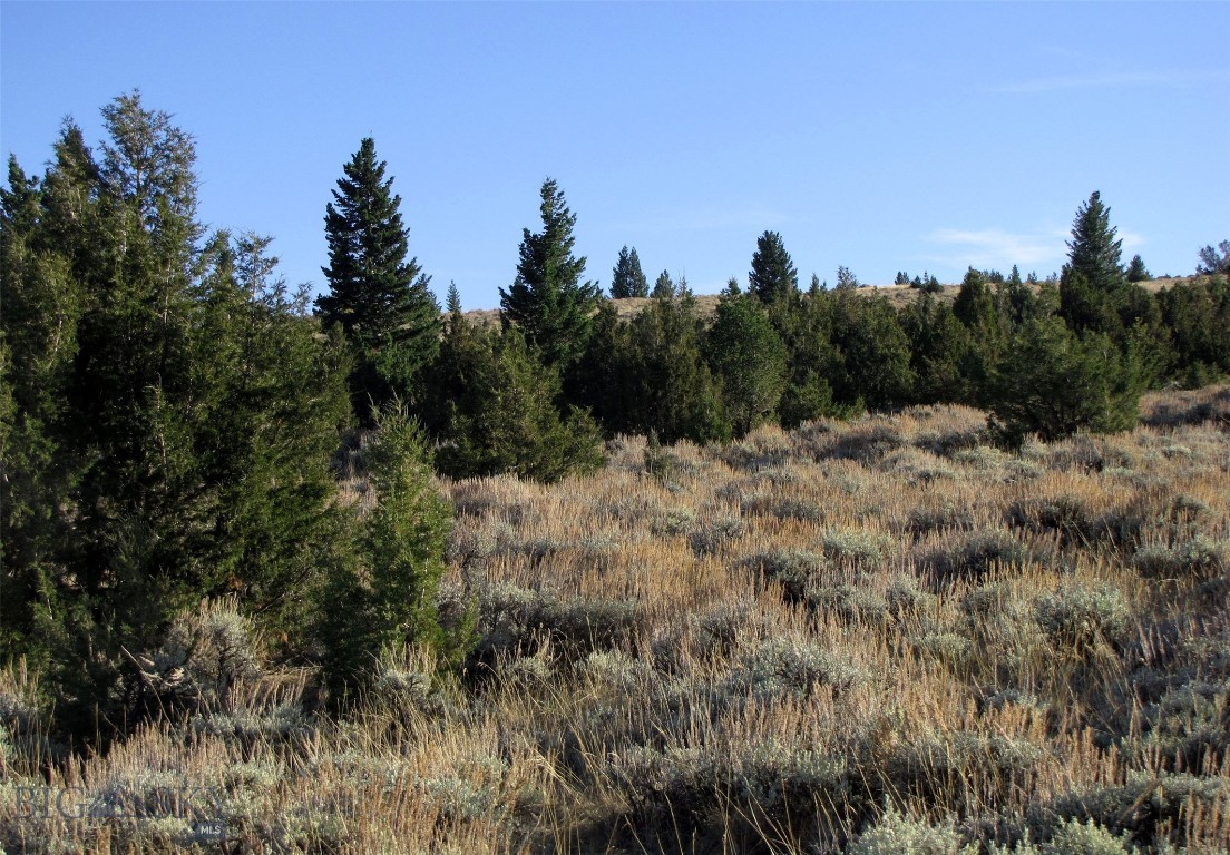 Nhn Revenue Road Property Photo 10