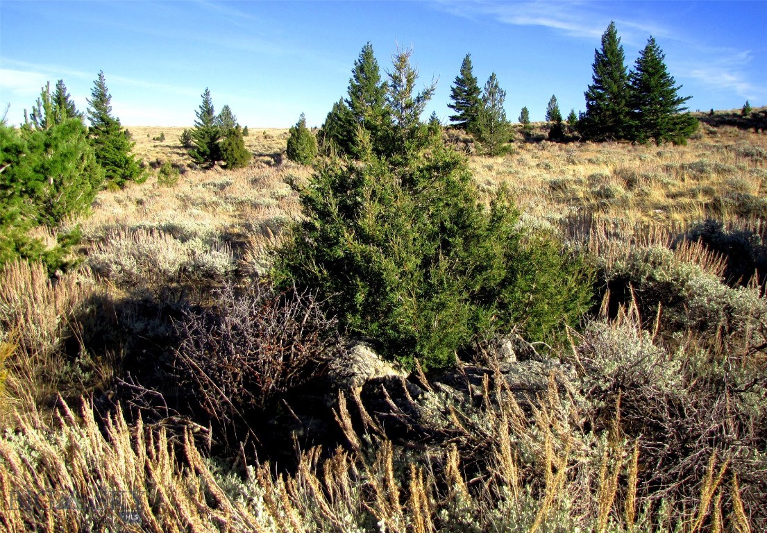 Nhn Revenue Road Property Photo 22
