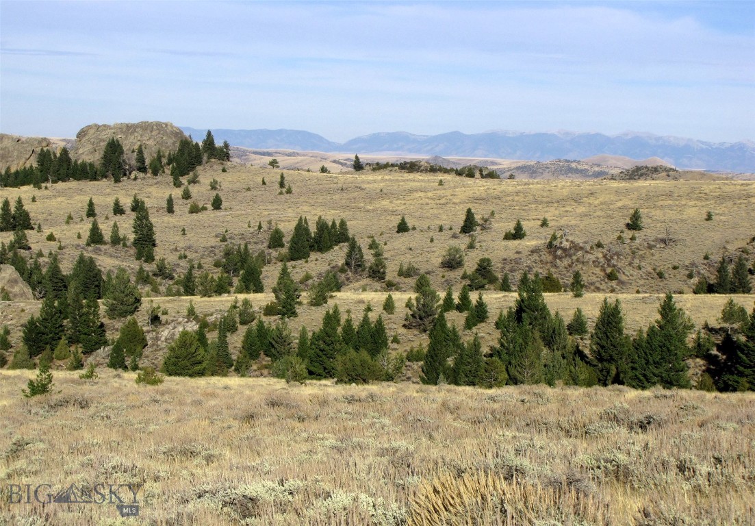 Nhn Revenue Road Property Photo 28