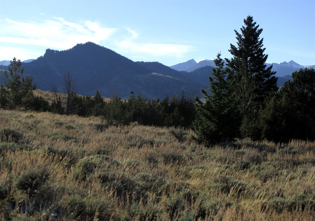 Nhn Revenue Road Property Photo 34
