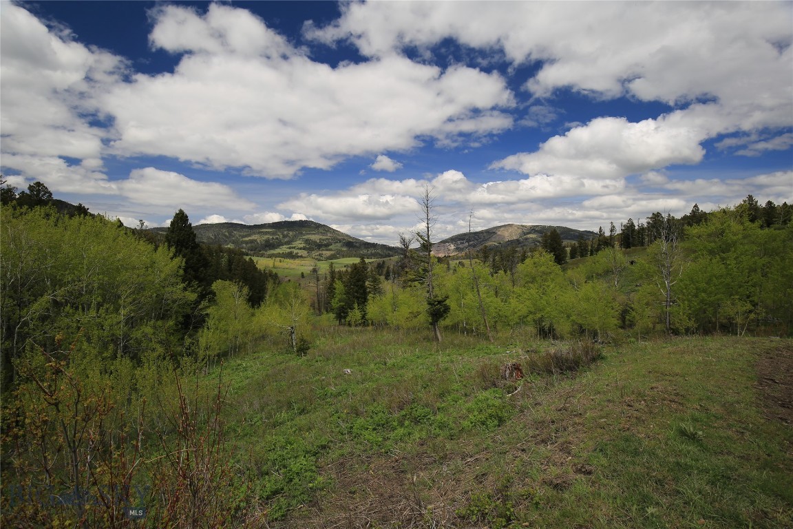 59086 Real Estate Listings Main Image
