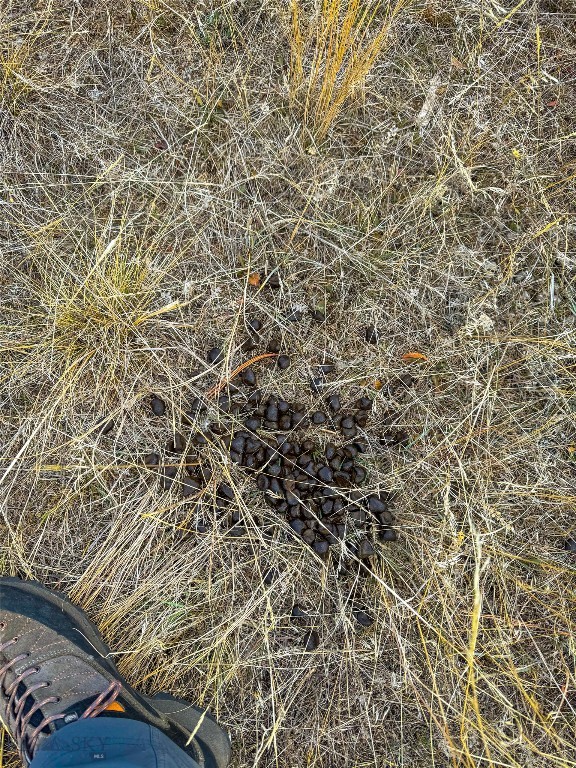 40 Acres American Bar Road Property Photo 9