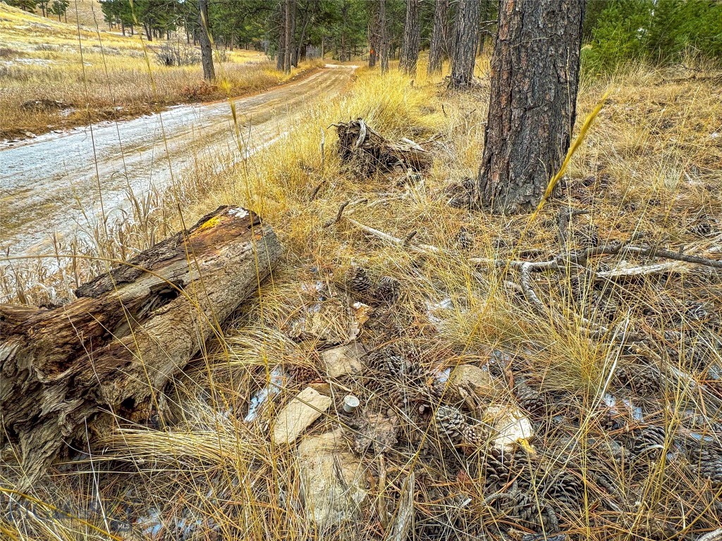 40 Acres American Bar Road Property Photo 10