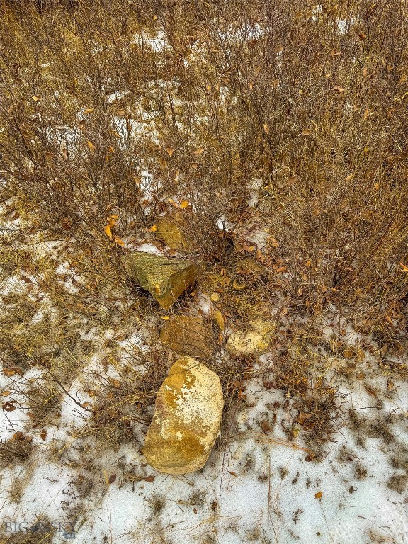 40 Acres American Bar Road Property Photo 11