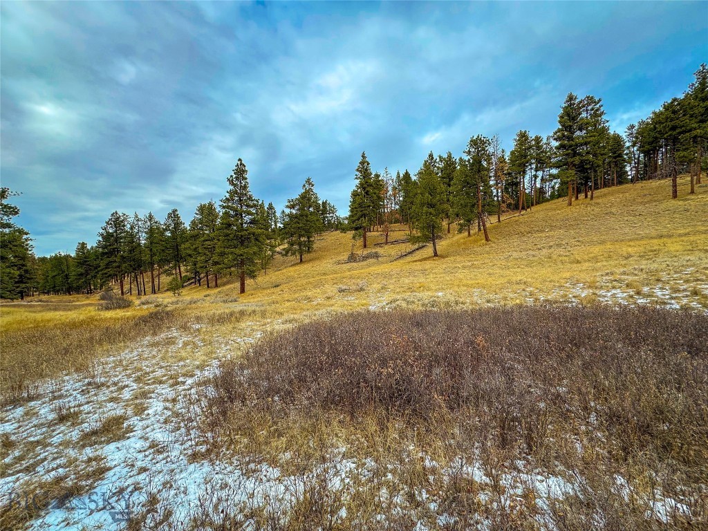 40 Acres American Bar Road Property Photo 12