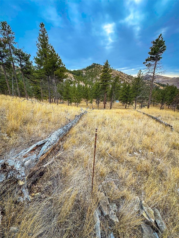 40 Acres American Bar Road Property Photo 13