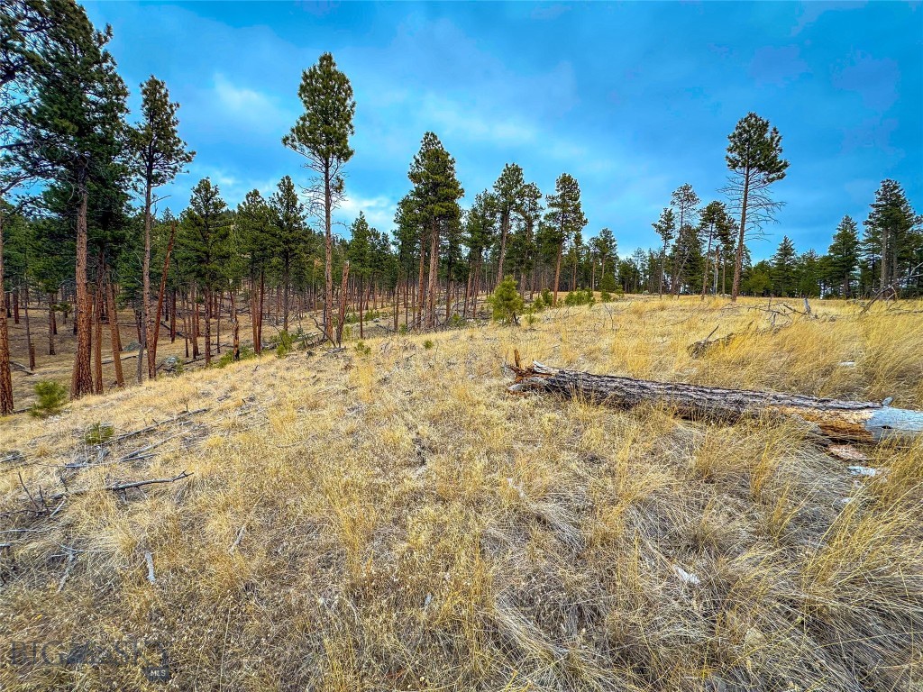 40 Acres American Bar Road Property Photo 14