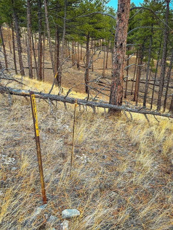 40 Acres American Bar Road Property Photo 15