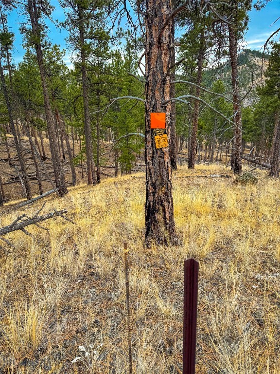 40 Acres American Bar Road Property Photo 16