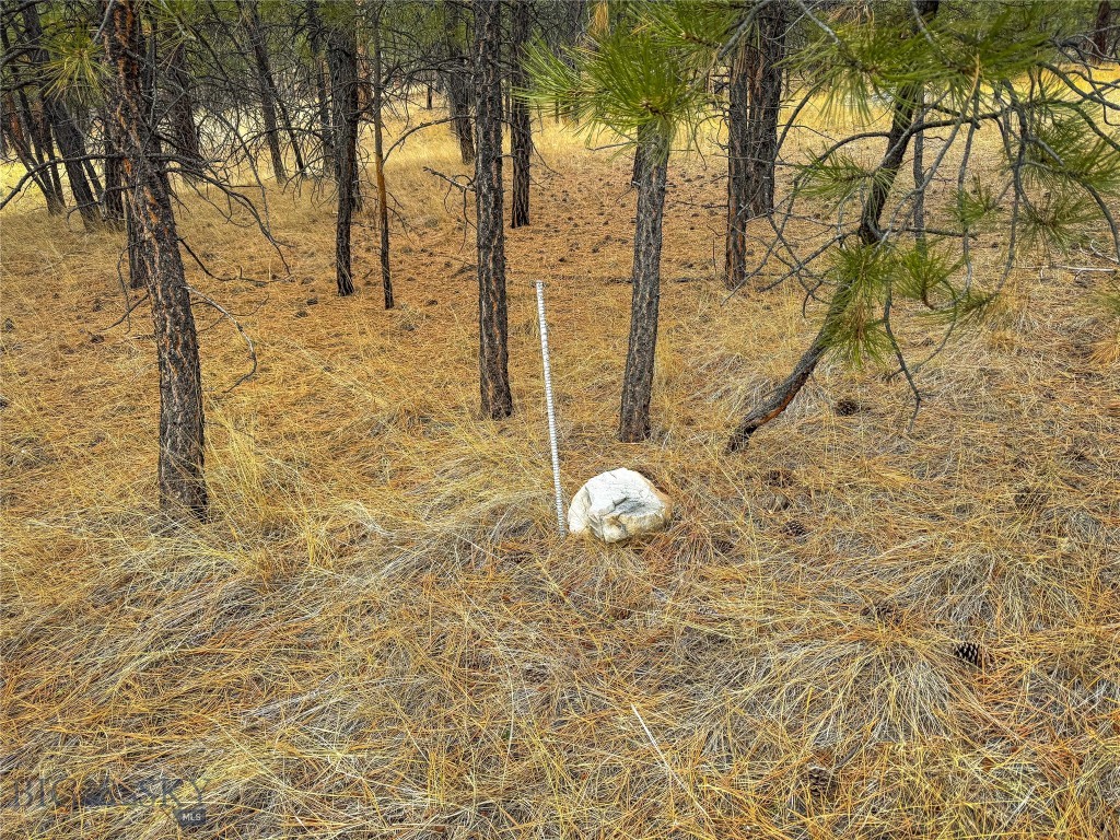40 Acres American Bar Road Property Photo 18