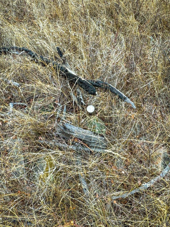 40 Acres American Bar Road Property Photo 20