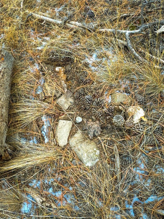 40 Acres American Bar Road Property Photo 23