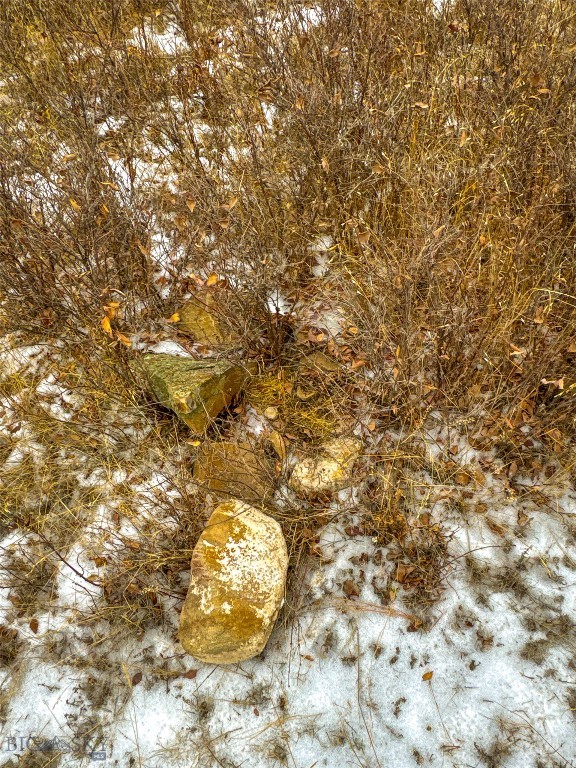 40 Acres American Bar Road Property Photo 24