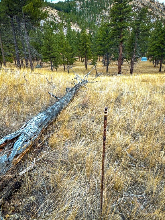 40 Acres American Bar Road Property Photo 25