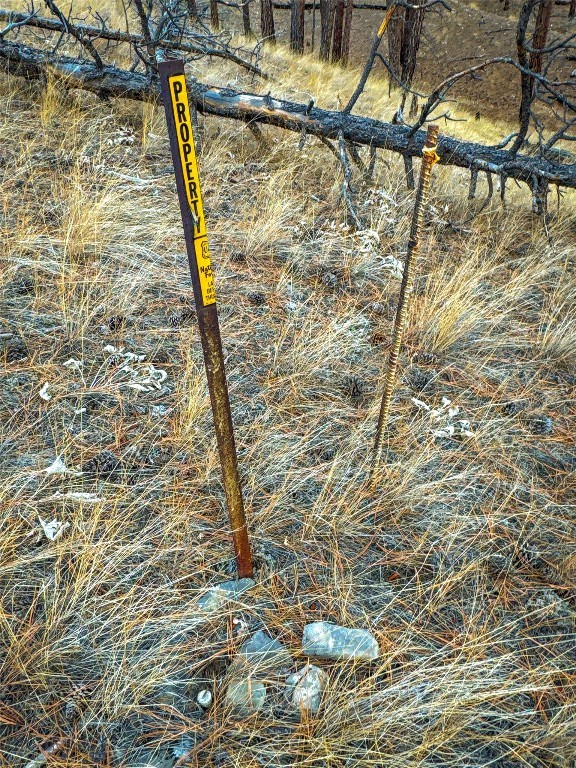 40 Acres American Bar Road Property Photo 26