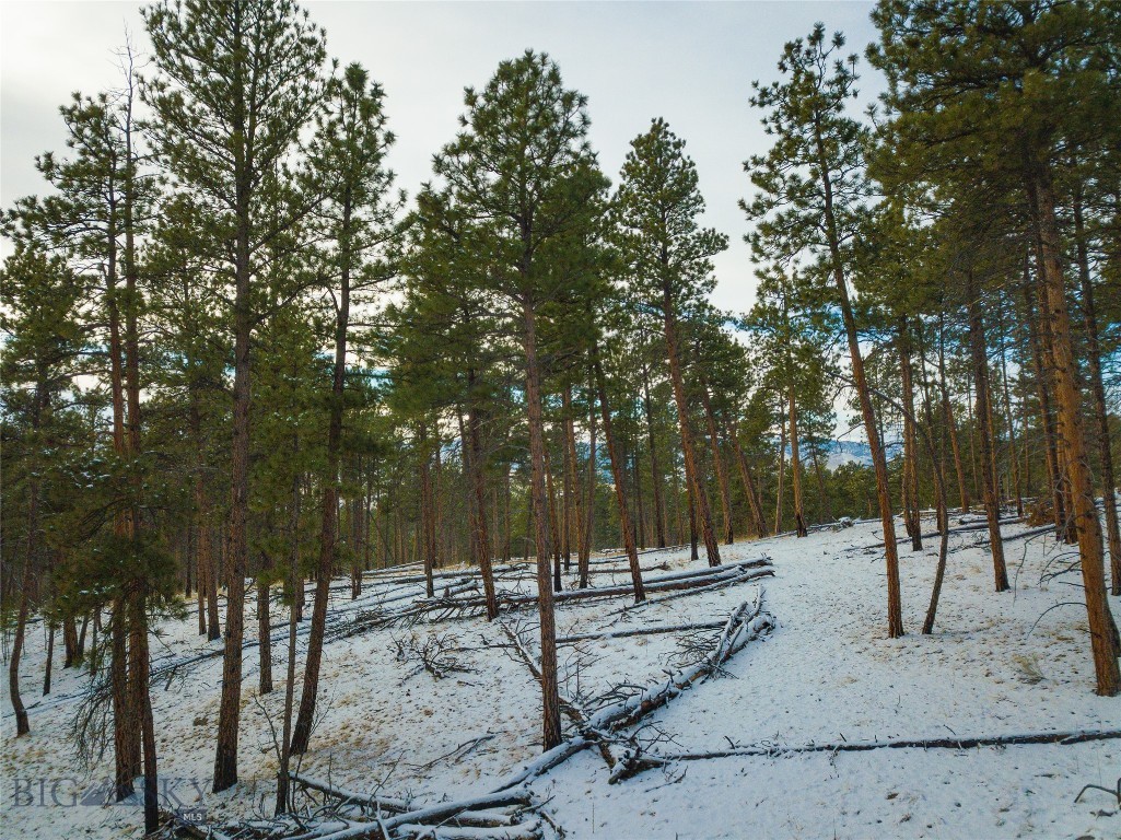 40 Acres American Bar Road Property Photo 36