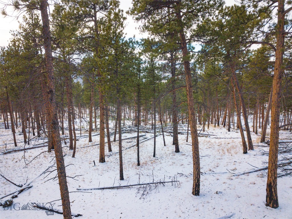 40 Acres American Bar Road Property Photo 39