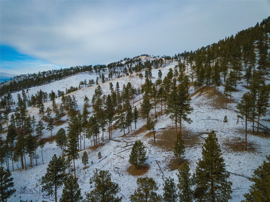 40 Acres American Bar Road Property Photo 41