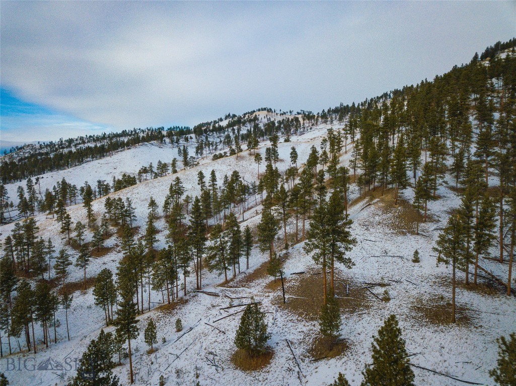 40 Acres American Bar Road Property Photo 42